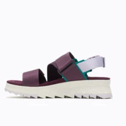 'Merrell' Women's Alpine Backstrap Sandal - Burgundy 9 'Merrell' Women's Alpine Backstrap Sandal - Burgundy -Sports Footwear Shop MRLW J004280 032321 S22 180 1024x1024@2x